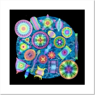 Ernst Haeckel Rainbow Diatoms over Water Posters and Art